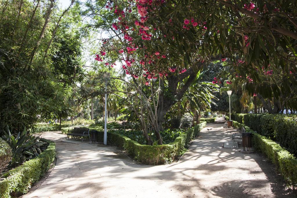 Cortina Apartments ! Malaga Ngoại thất bức ảnh